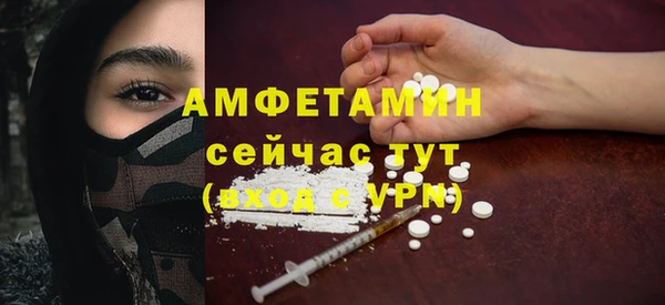 соль ск Михайлов