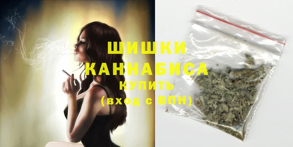 гашик Михайловск
