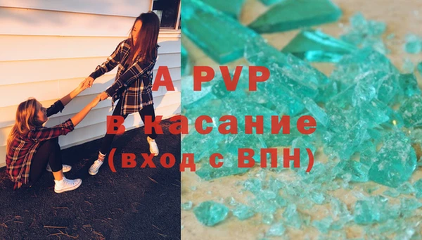 гашик Михайловск