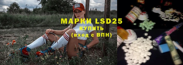 соль ск Михайлов
