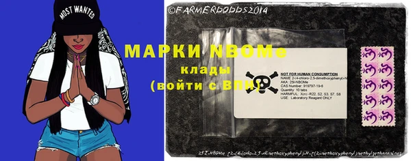 гашик Михайловск