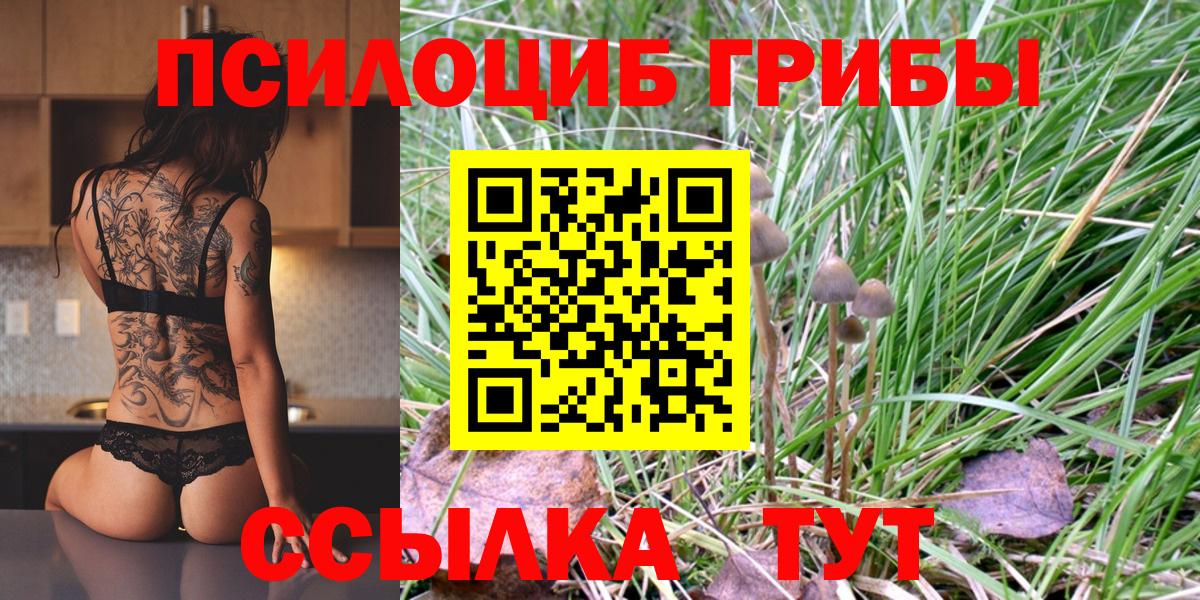Галлюциногенные грибы Cubensis  Улан-Удэ  Псилоцибиновые грибы мухоморы 